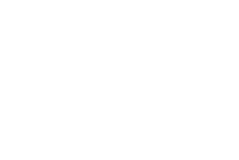 Logo MyISO blanco